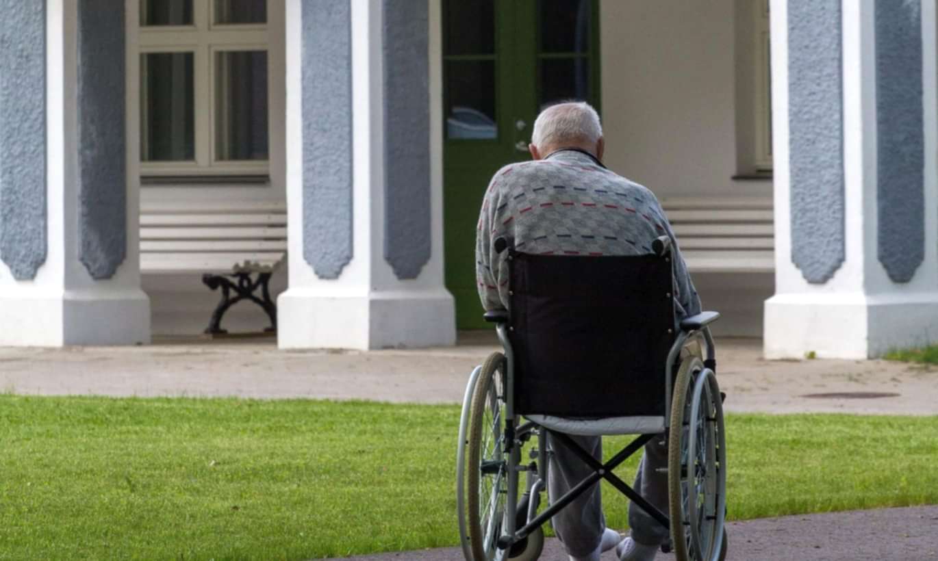 территория пансионата